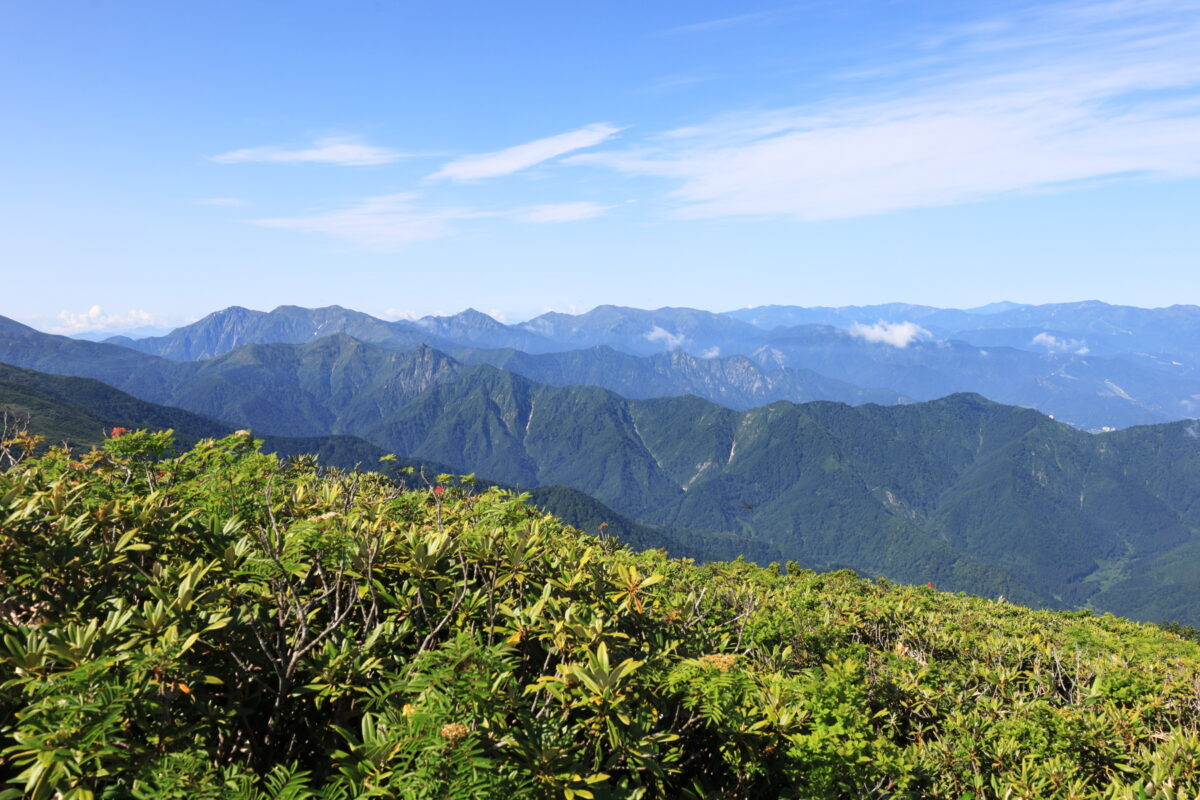 ニセ巻機山（前巻機山）からの谷川連峰の眺め