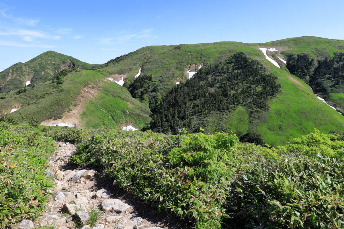 ニセ巻機山から下る稜線の登山道