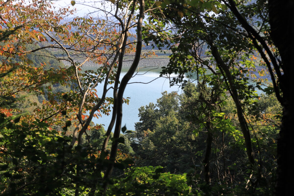 草戸山～榎窪山の登山道の樹木の間から見える城山湖