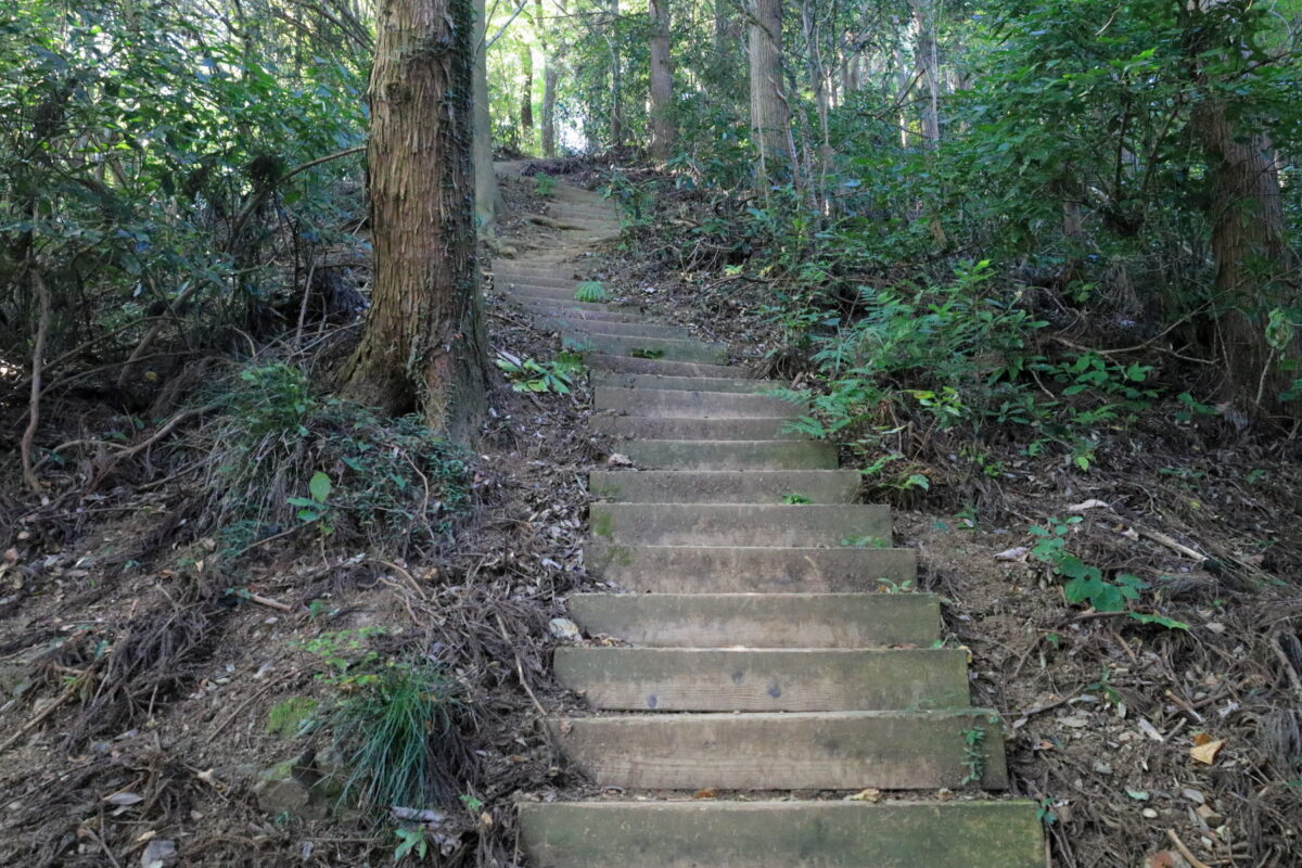 「泰光寺山」への長い階段