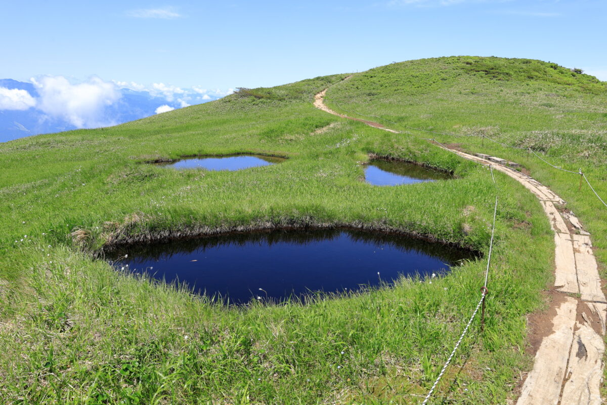 巻機山山頂近くにある顔のような形をした池塘