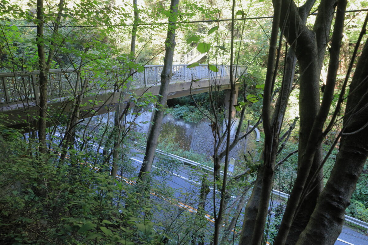 国道20号線と大垂水峠橋