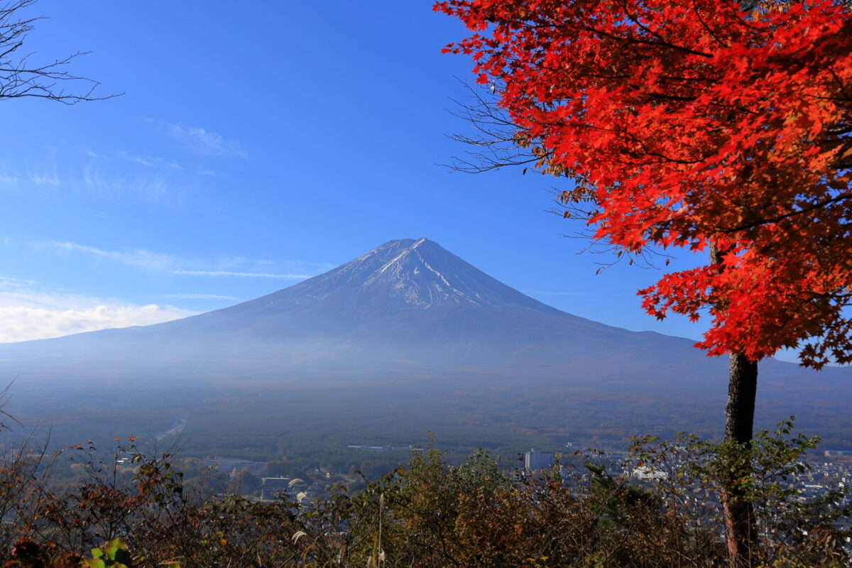 ナカバ平からの富士山と紅葉