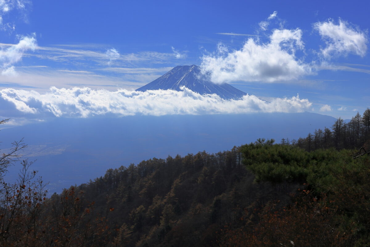 木無山近くの広場からの富士山の眺め