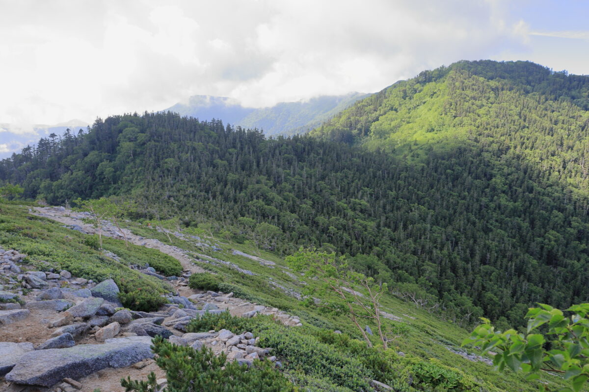 標高2512m地点から眺める蝶ヶ岳方面の稜線