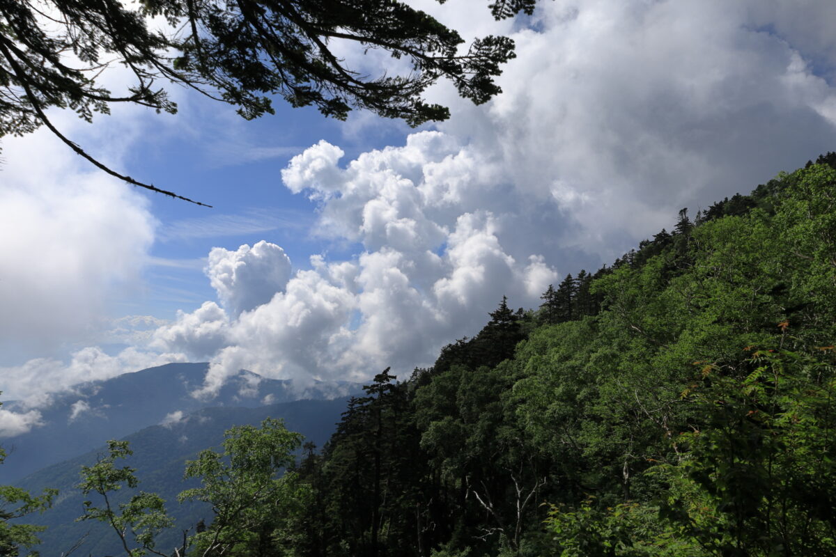 もくのくとした夏雲が湧く蝶ヶ岳方面の眺め