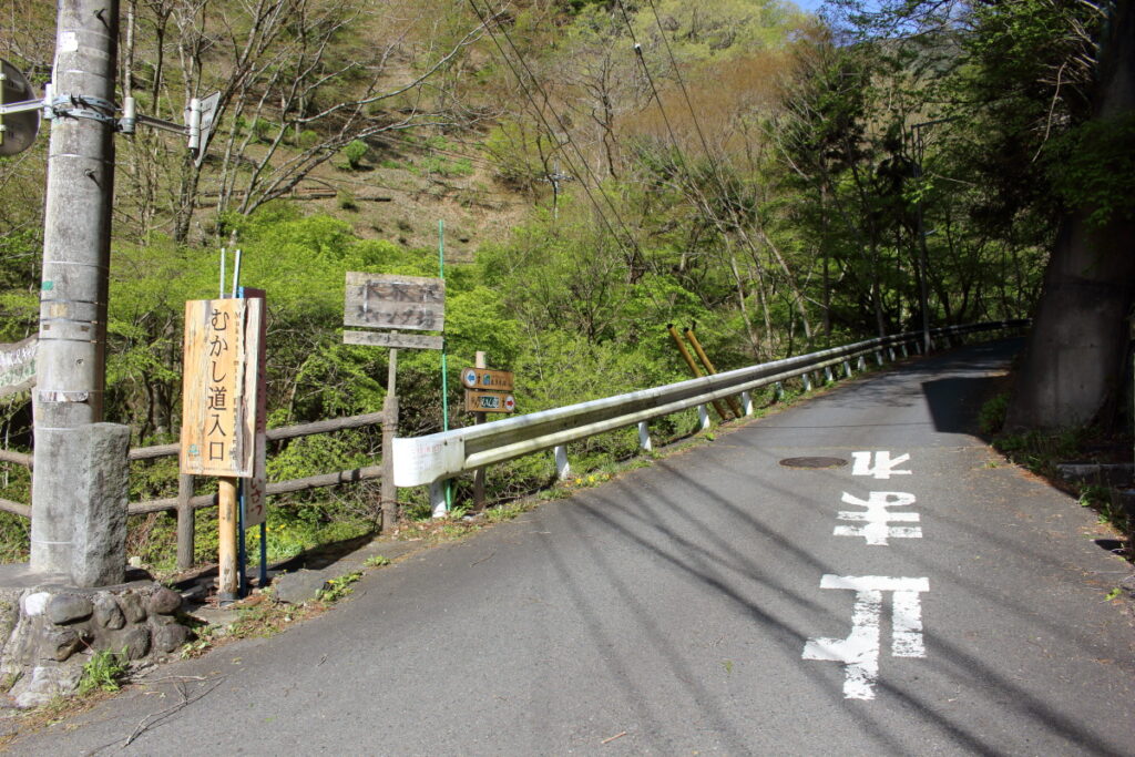 水根から鷹ノ巣山への路