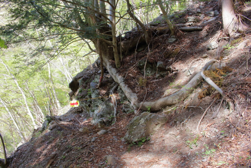 水根沢沿いの登山道の崩落箇所