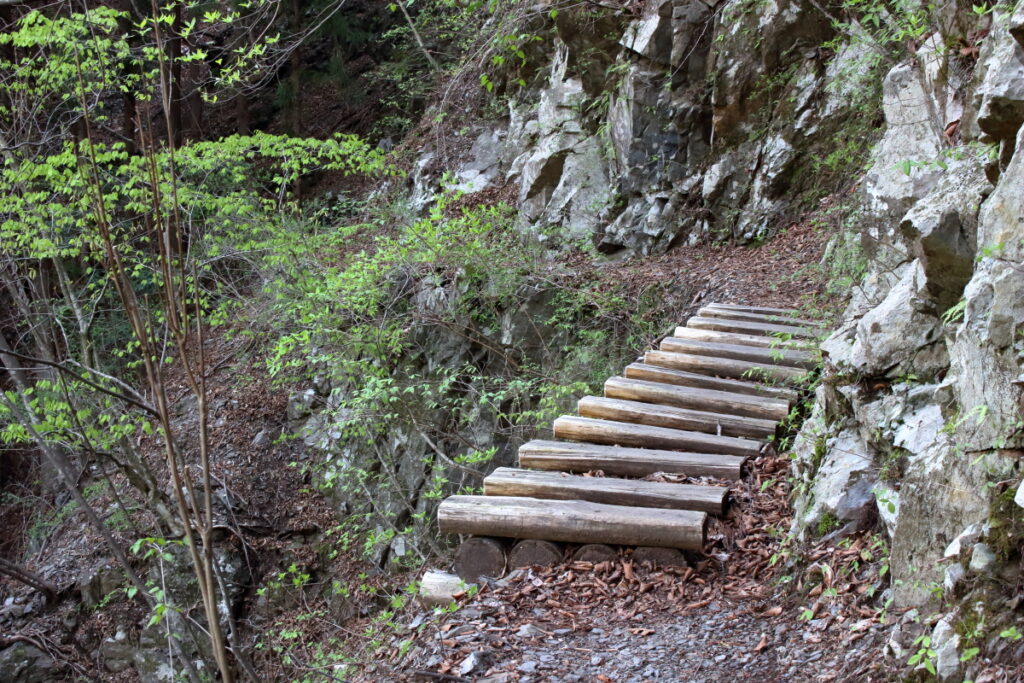 水根沢沿いの登山道の木の橋