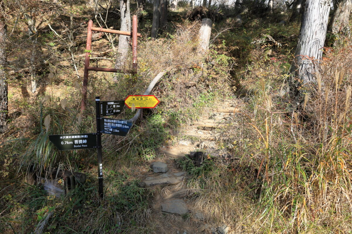 林道から登山道への入口