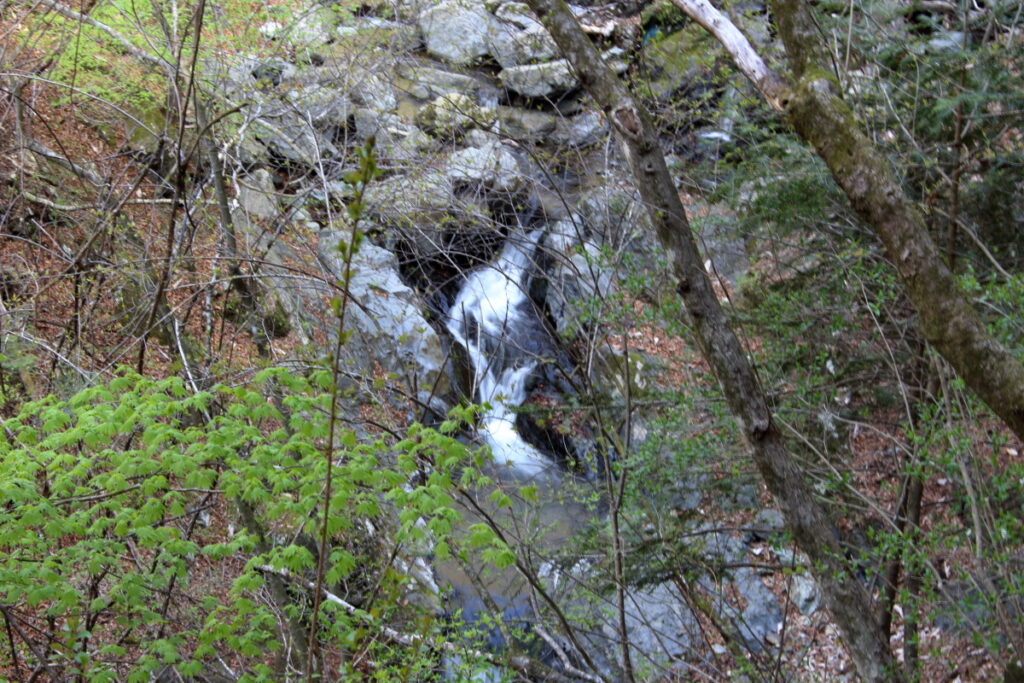 水根沢沿いの小さな滝