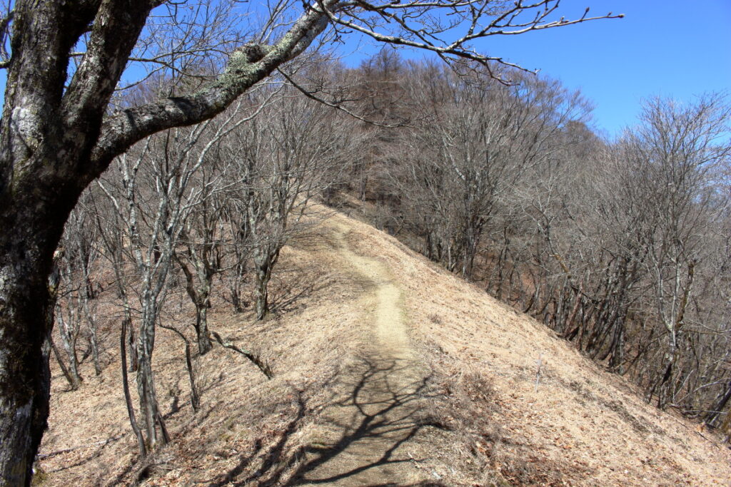 明るく開けた石尾根縦走路