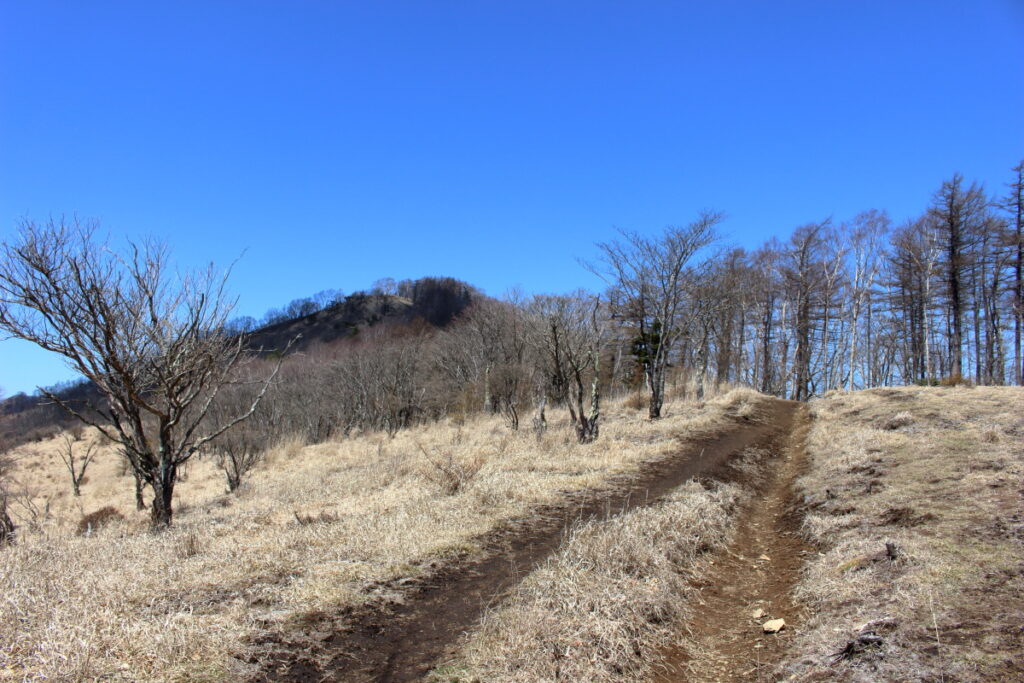 ちょっとした草原のような石尾根縦走路