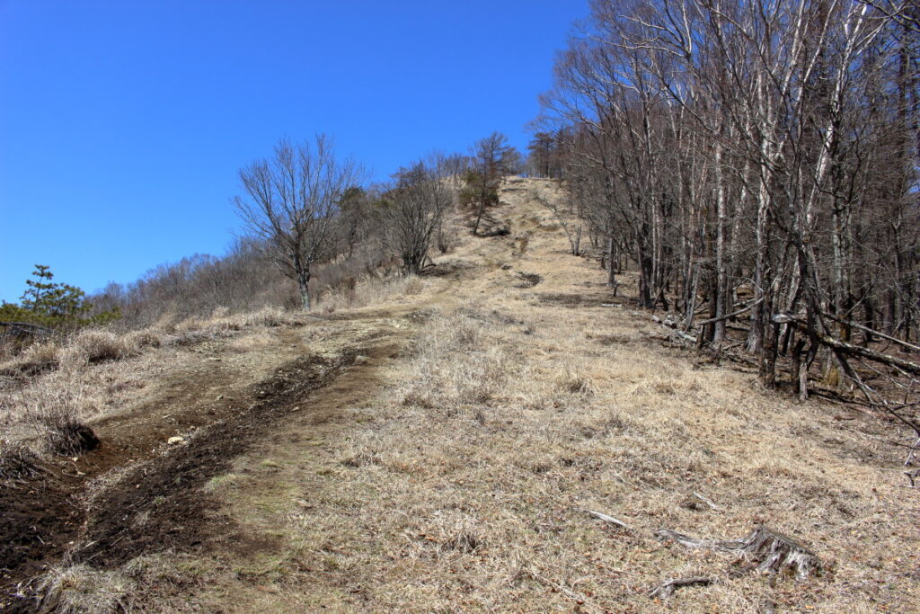 鷹ノ巣山山頂直下の急登