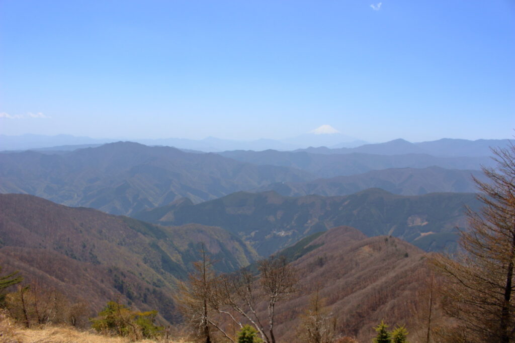 鷹ノ巣山山頂からの南側の眺望