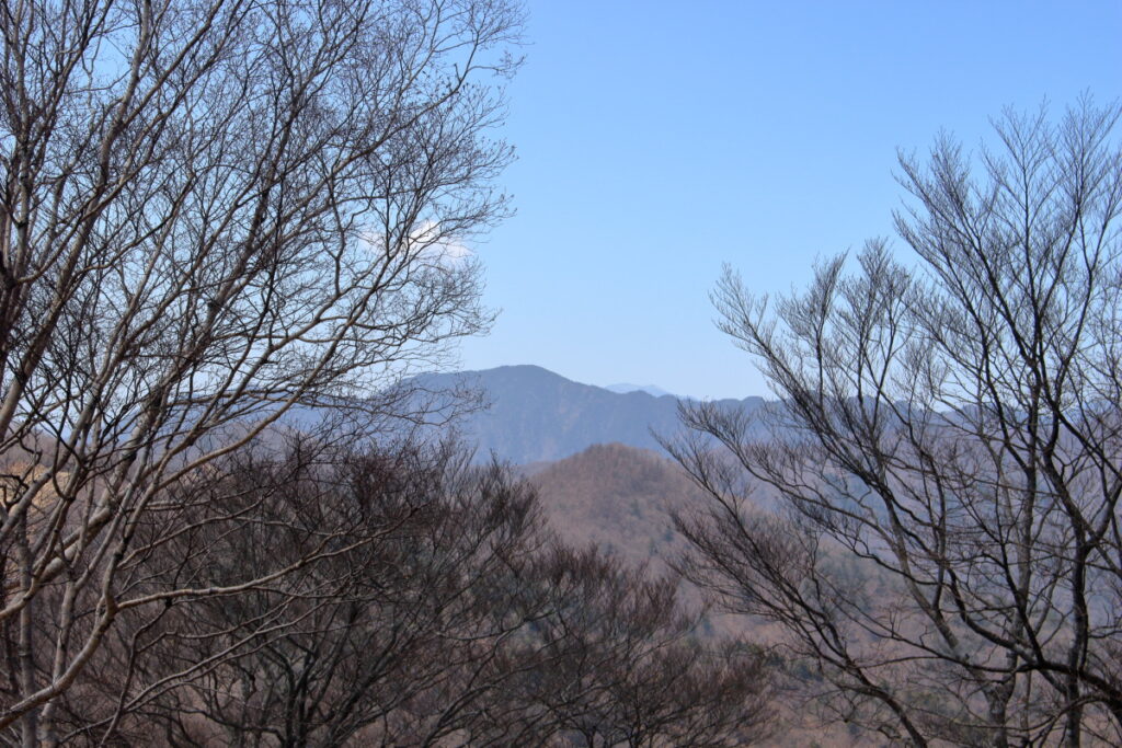鷹ノ巣山山頂から眺める雲取山