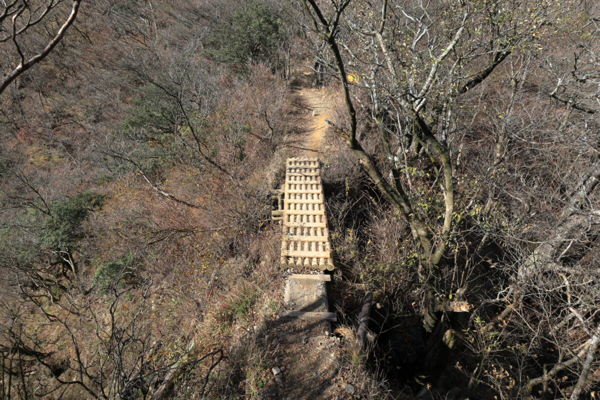 三ノ塔と烏尾山の鞍部にかかる木の橋