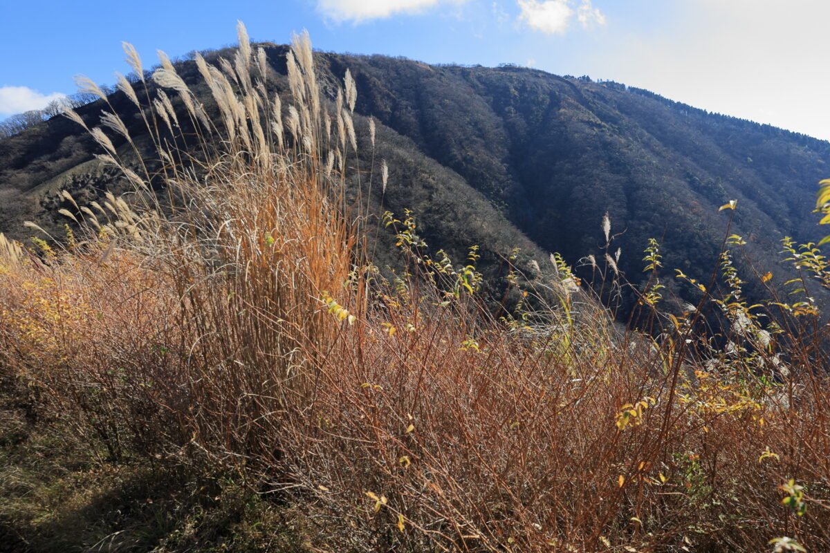 烏尾山への登りの途中から見える三ノ塔