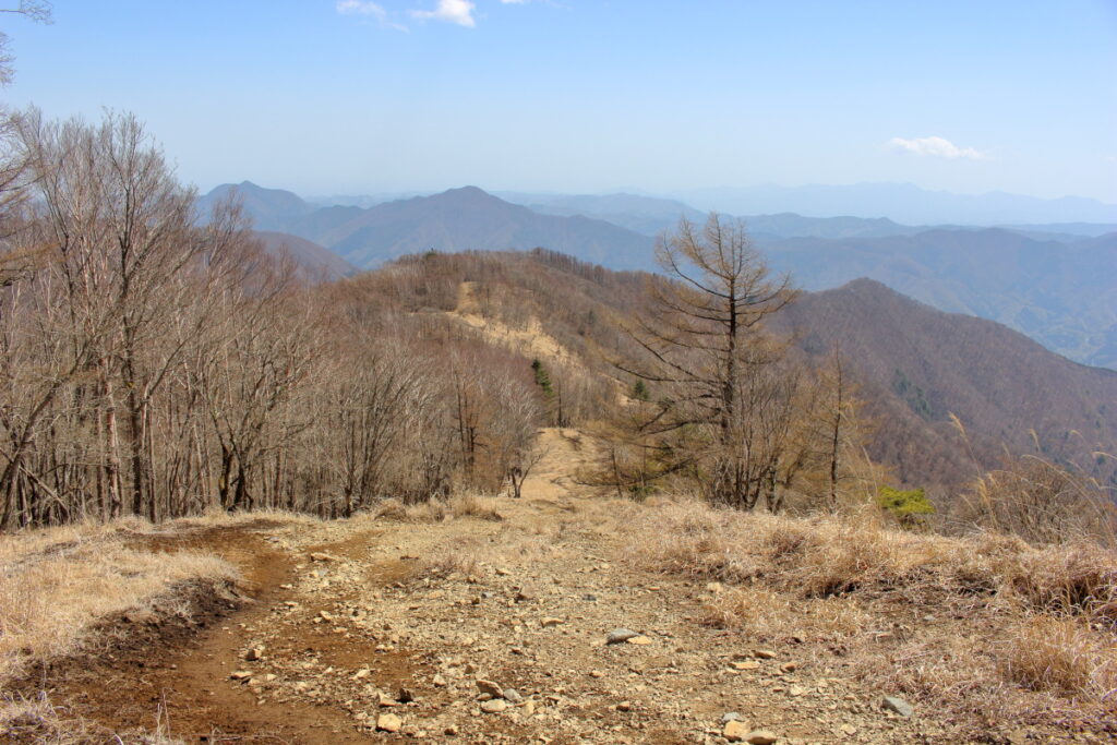 鷹ノ巣山山頂直下の急坂