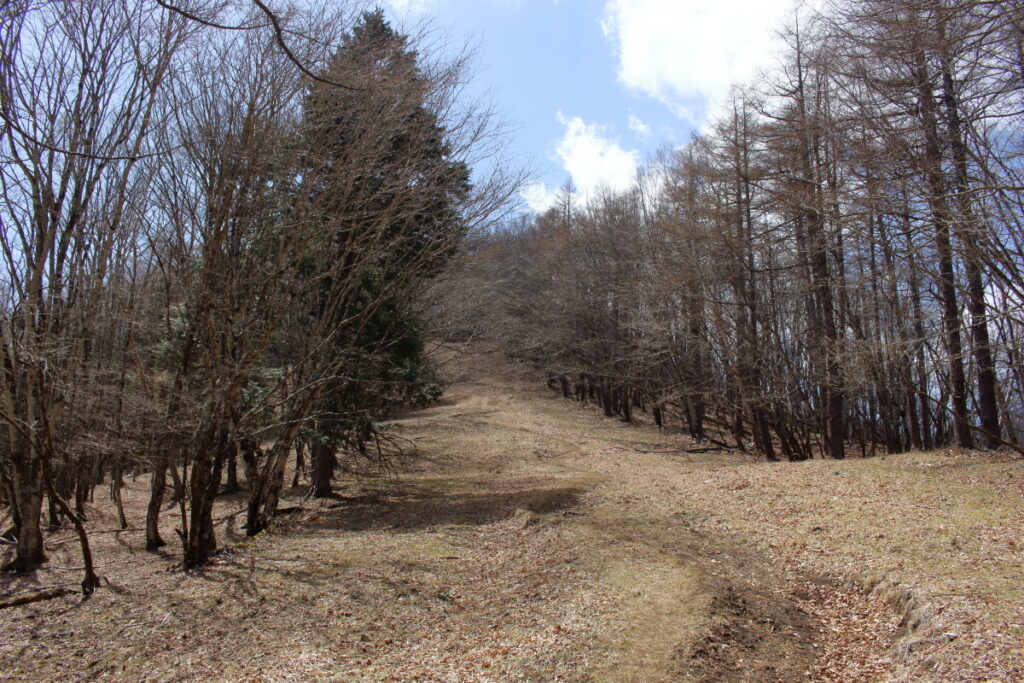 石尾根縦走路