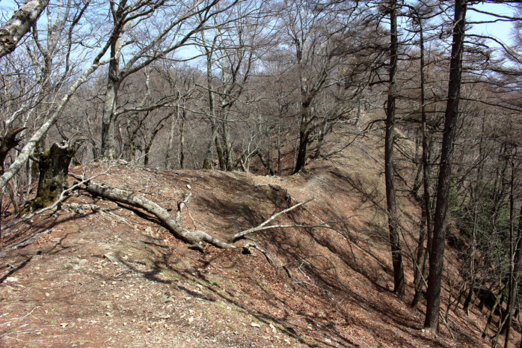 石尾根縦走路にある痩せた尾根