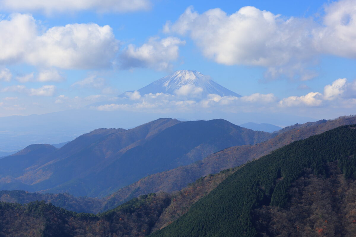 富士山を眺めながら歩ける烏尾山～行者ヶ岳の尾根道