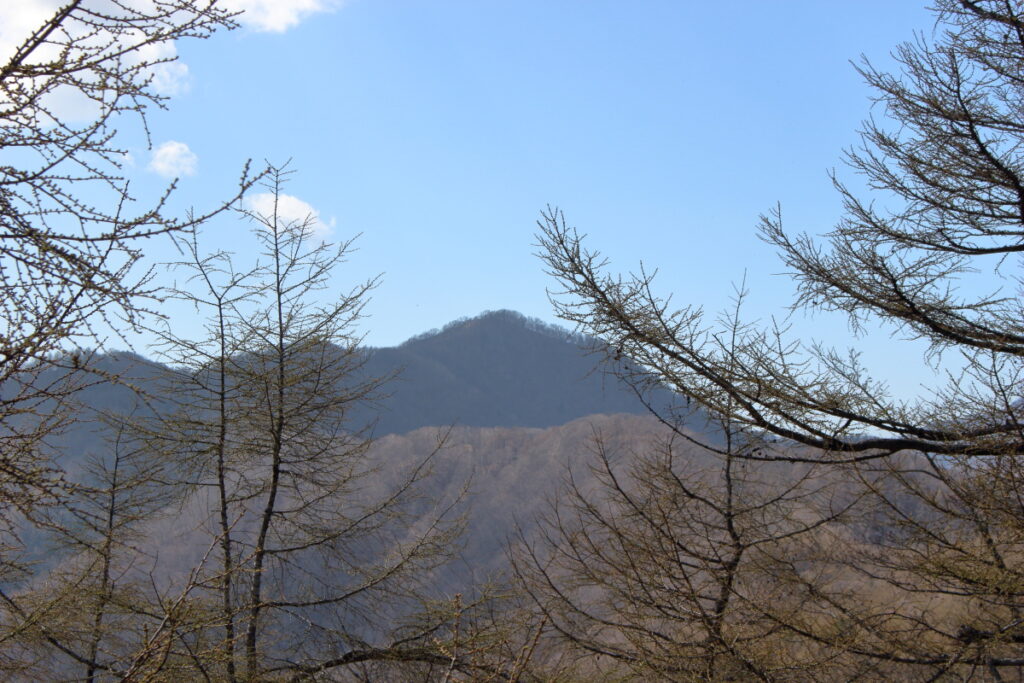 六ツ石山から眺める鷹ノ巣山