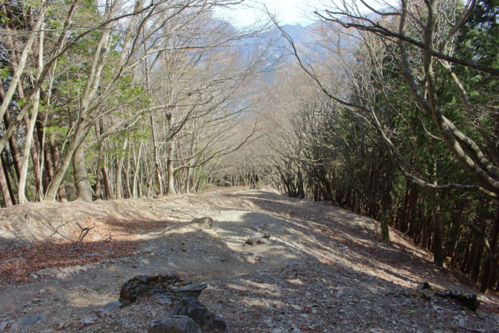 石尾根縦走路の急な下り