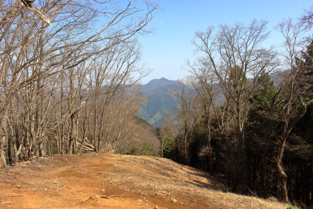 石尾根縦走路から見る大岳山