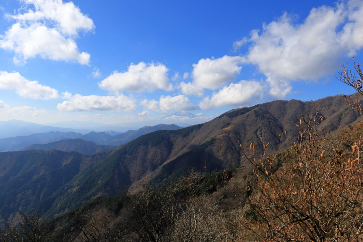 行者ヶ岳からの富士山の眺め