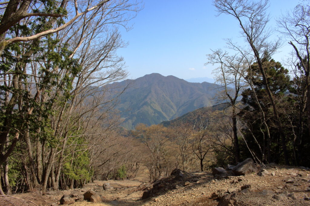 石尾根縦走路から見る御前山