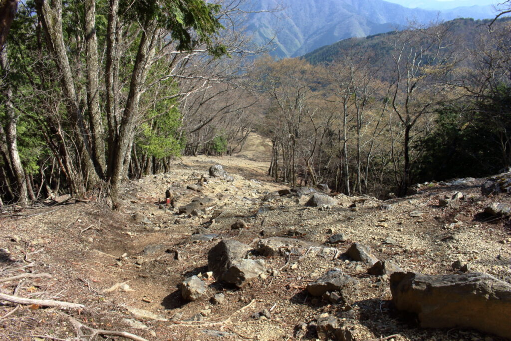 石尾根縦走路の急な下り