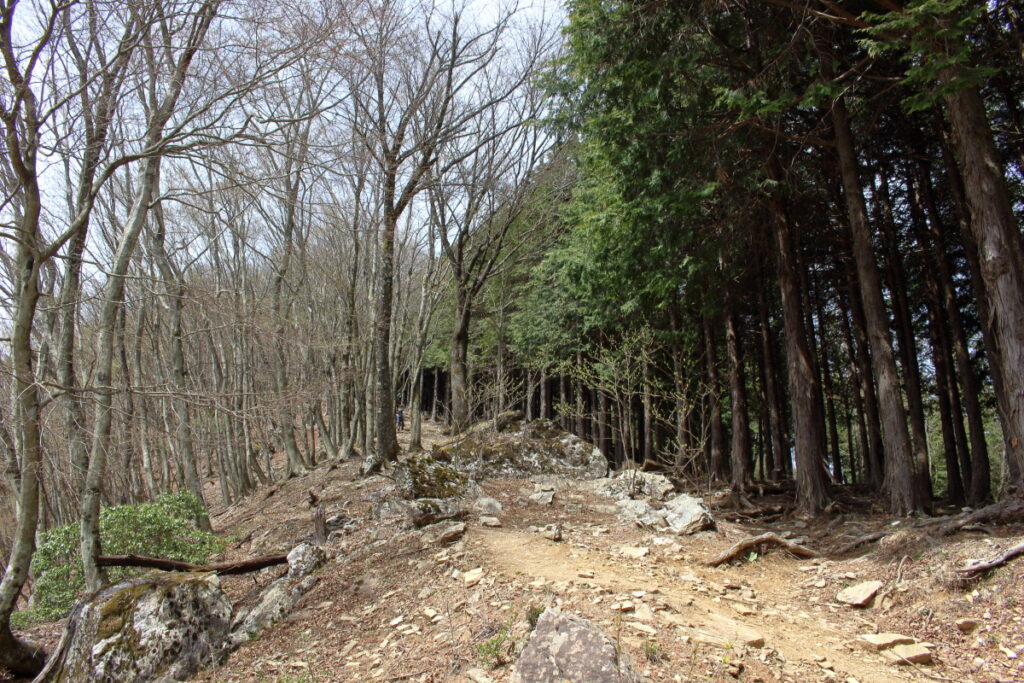 大持山への最後の急登