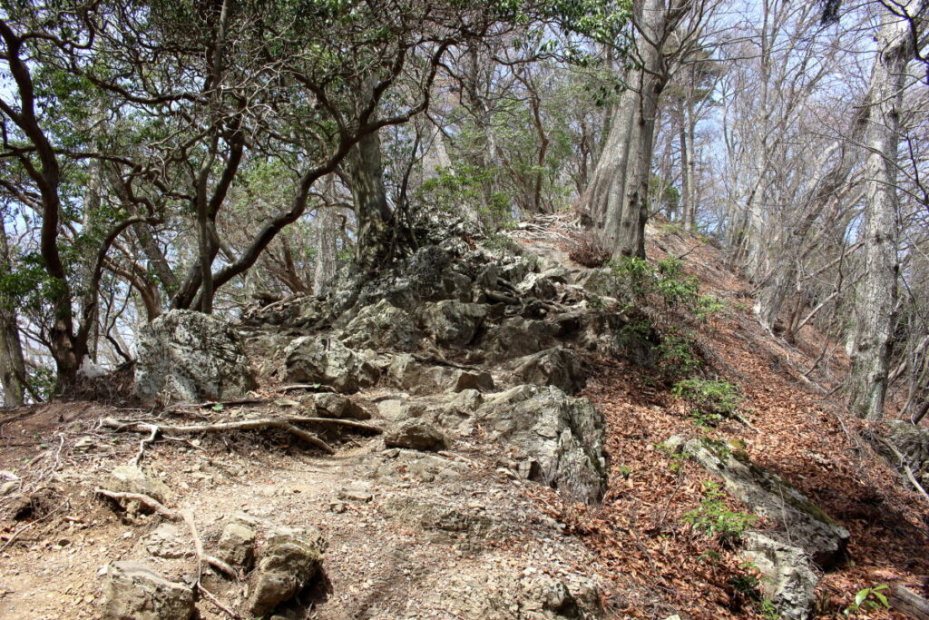 大持山山頂直下の岩場