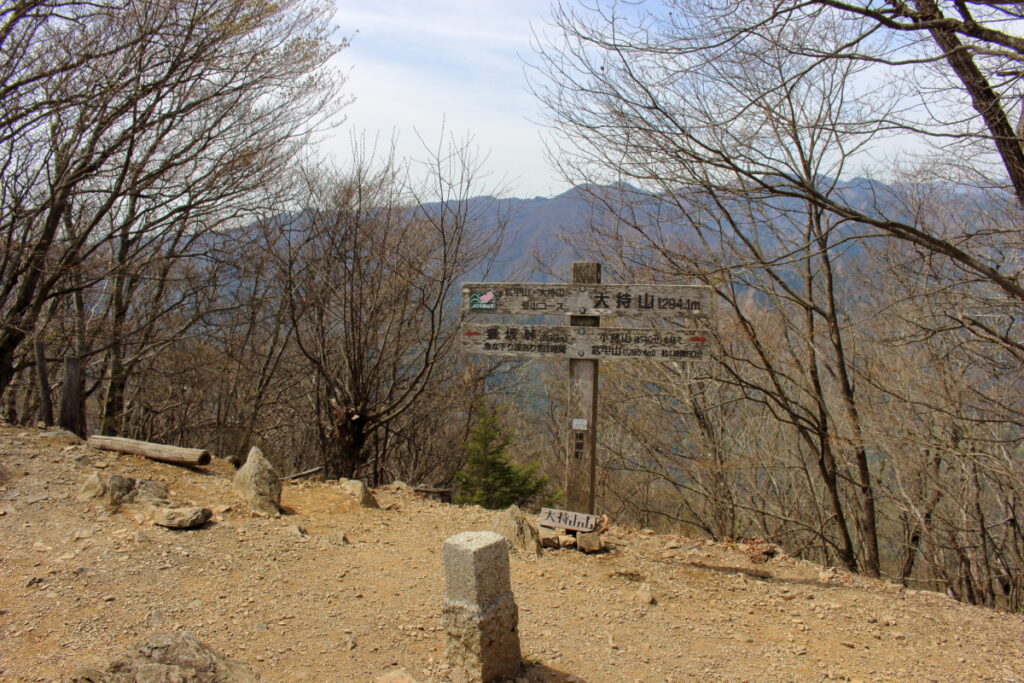 大持山の山頂