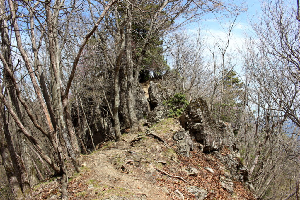 大持山から小持山への尾根道