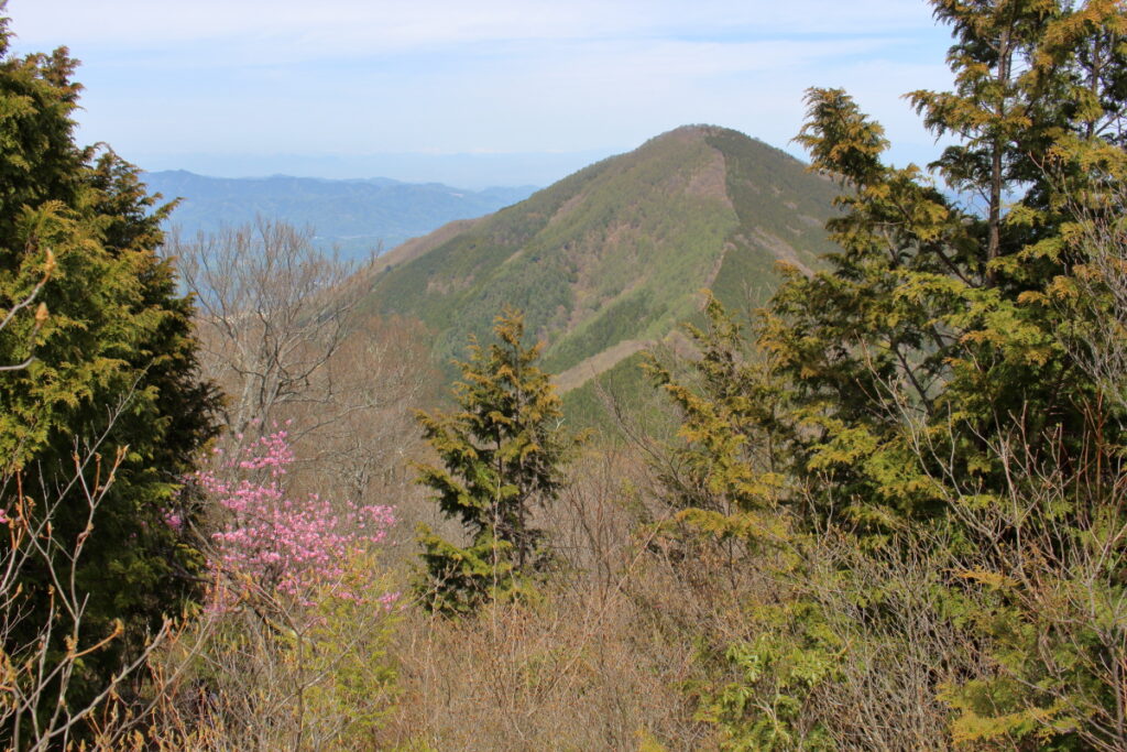 小持山山頂から眺める武甲山