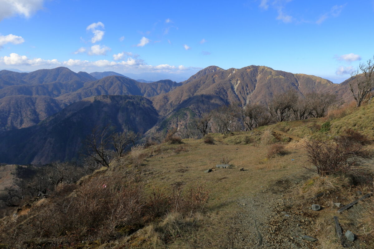 西丹沢の檜洞丸や大室山