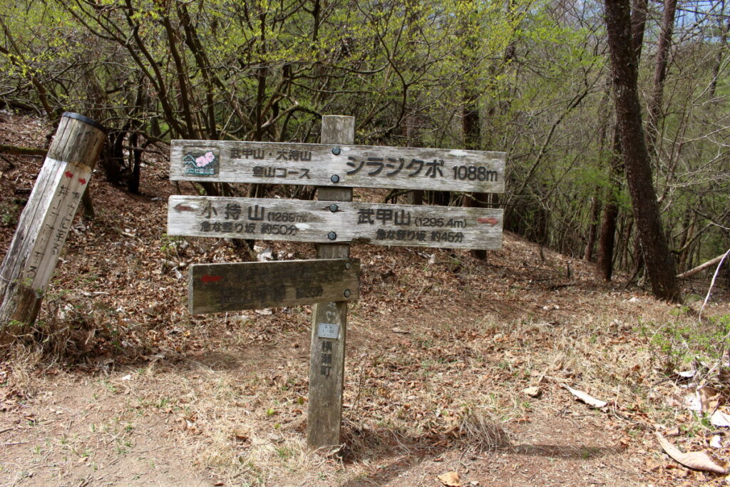 小持山～武甲山の鞍部、シラジクボ