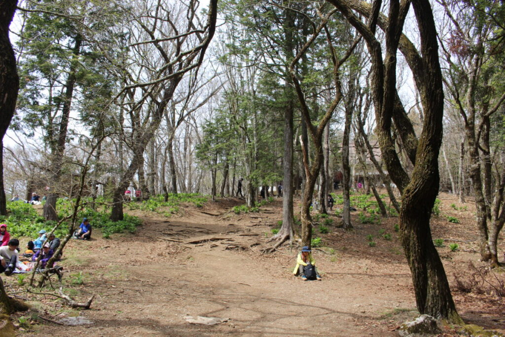 武甲山の神社下の広場