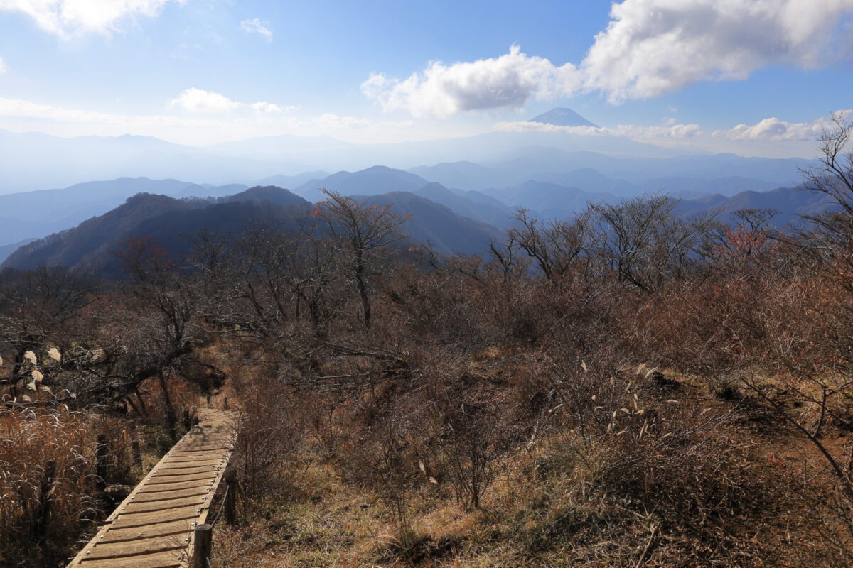 塔ノ岳から大倉へ下る登山道と富士山