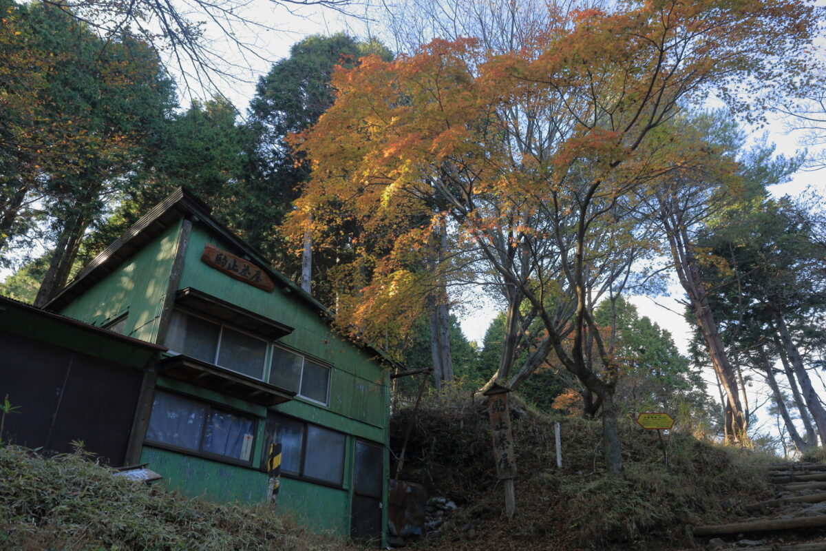 駒止茶屋と紅葉した木