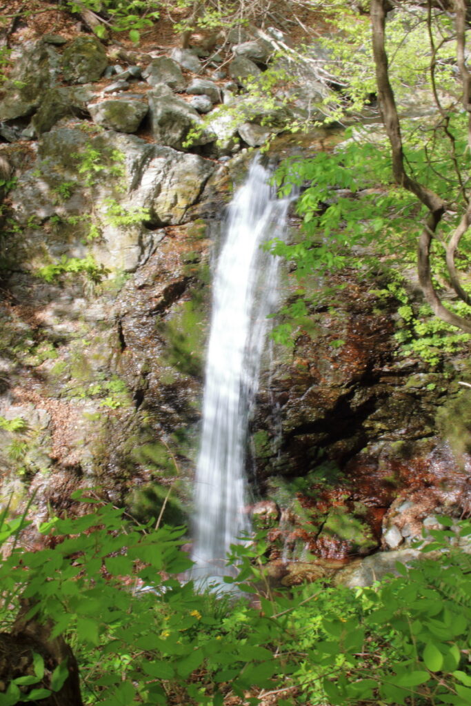 橋立川の途中の滝