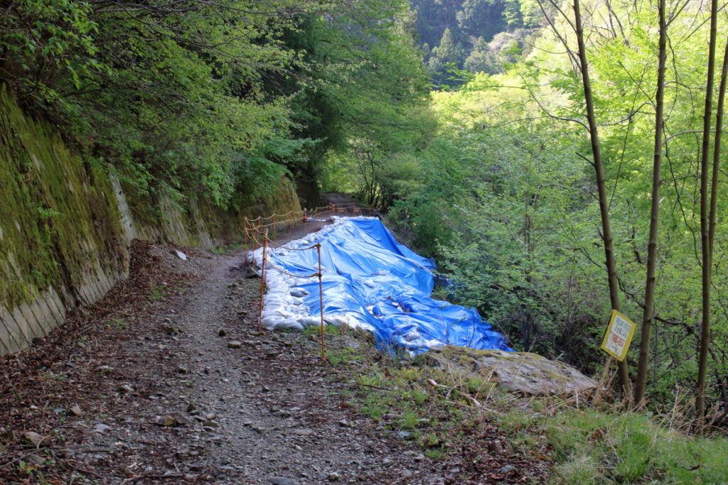 橋立川沿いの林道の崩落箇所