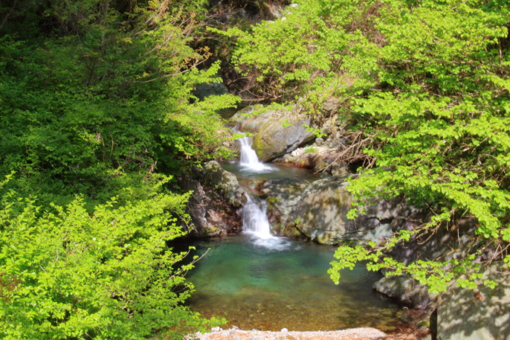 林道の橋の上から眺める小さな滝