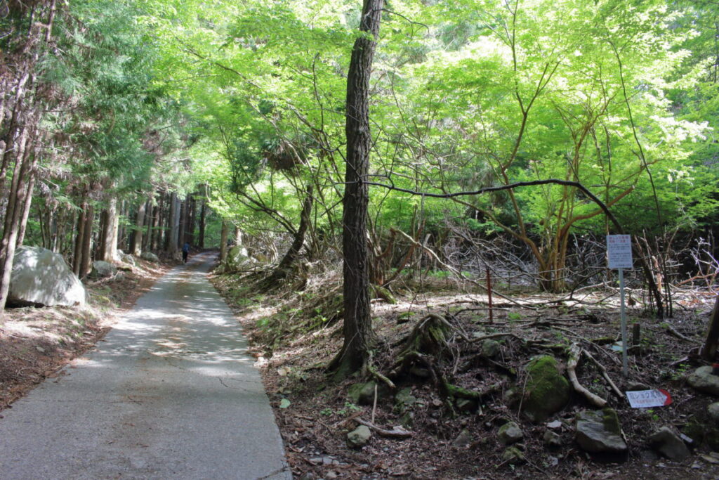 寂ショウ尾根への分岐