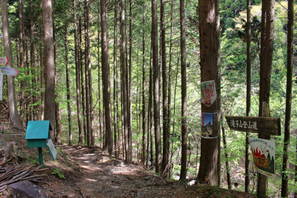 滝子山登山口