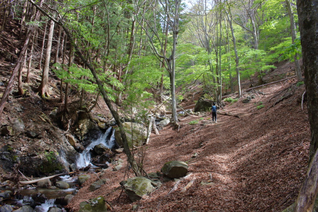 すみ沢と登山道