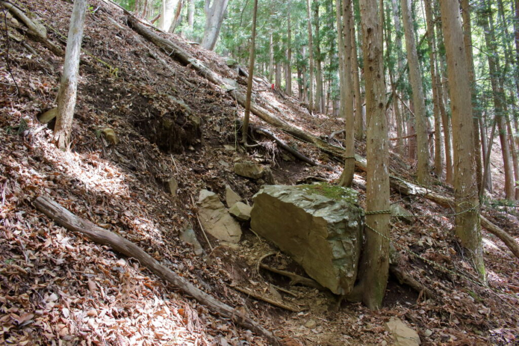 すみ沢から離れて山の斜面を登る