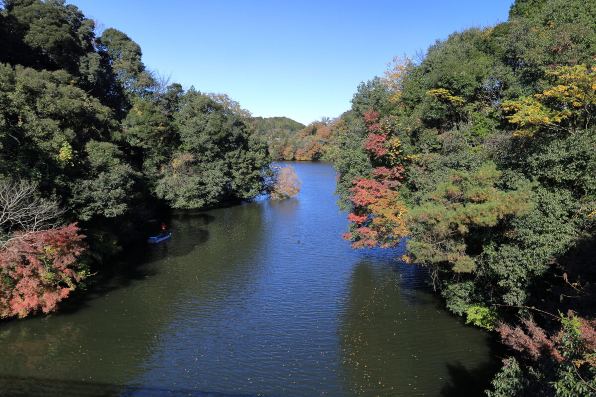小さな橋の上から眺める亀山湖